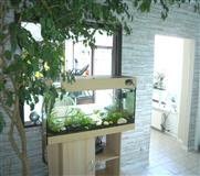 Naturopathie